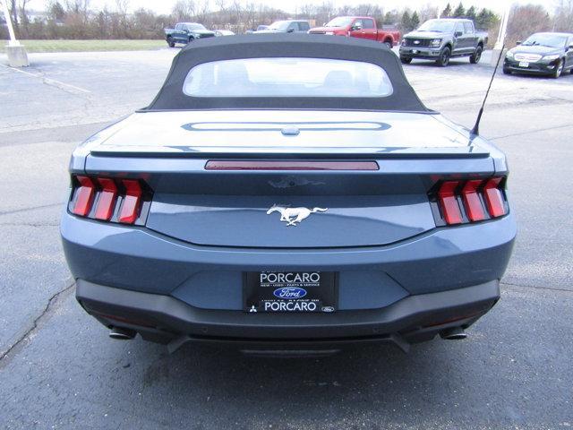 used 2024 Ford Mustang car