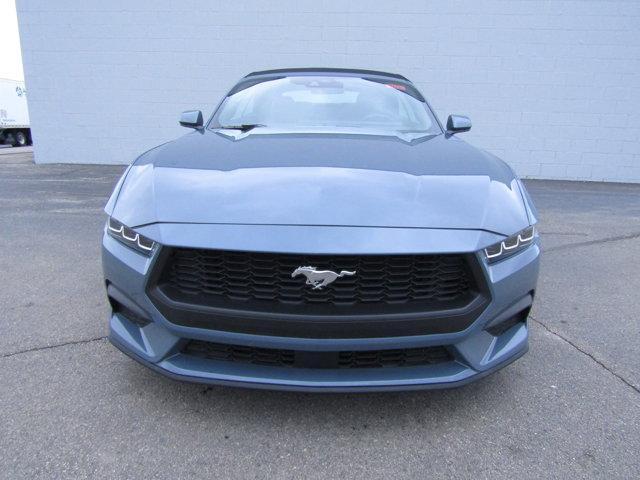 used 2024 Ford Mustang car