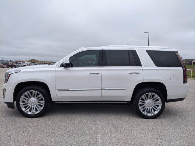 used 2019 Cadillac Escalade car, priced at $78,922