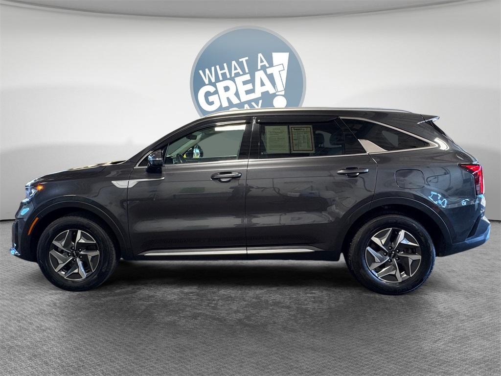 used 2022 Kia Sorento Hybrid car, priced at $22,247
