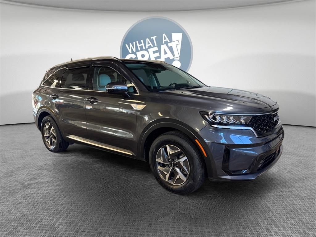 used 2022 Kia Sorento Hybrid car, priced at $23,861