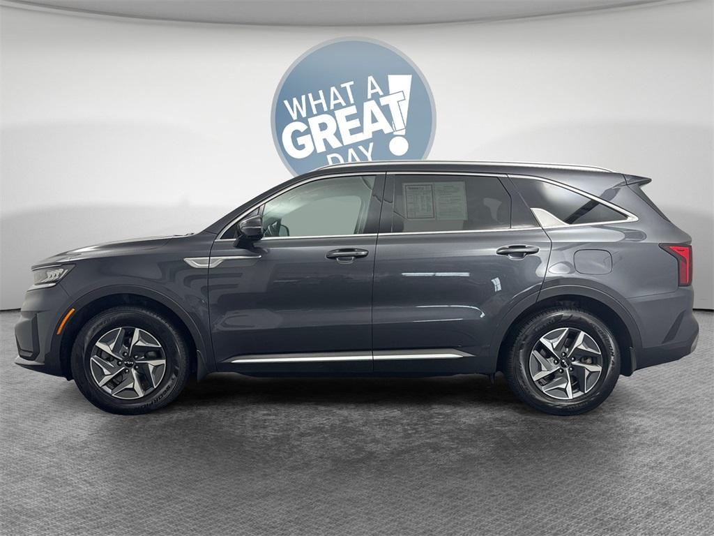 used 2022 Kia Sorento Hybrid car, priced at $23,984