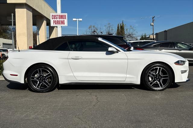 used 2019 Ford Mustang car, priced at $19,998