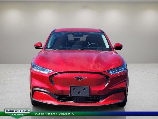 used 2021 Ford Mustang Mach-E car, priced at $26,998