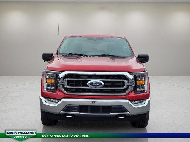 used 2021 Ford F-150 car, priced at $36,798