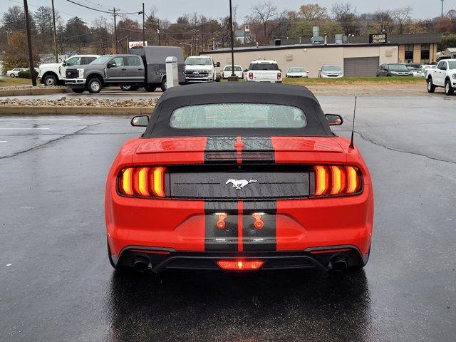 used 2021 Ford Mustang car, priced at $22,249