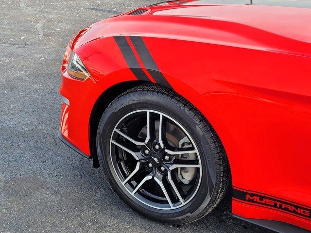 used 2021 Ford Mustang car, priced at $21,010