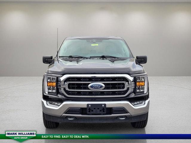 used 2021 Ford F-150 car, priced at $35,798