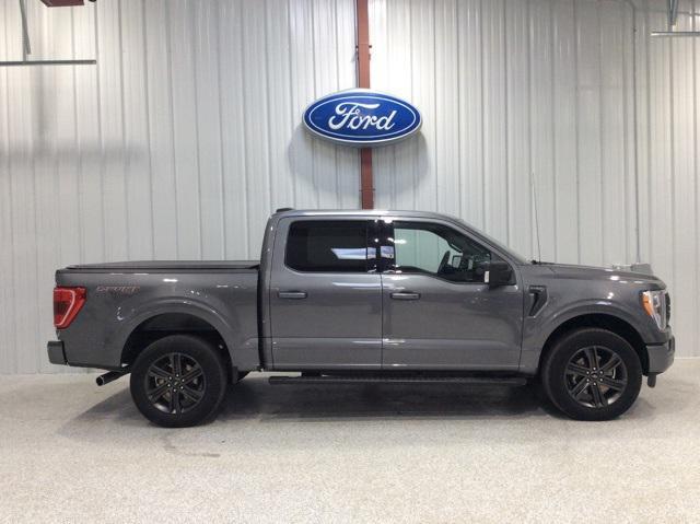 used 2021 Ford F-150 car