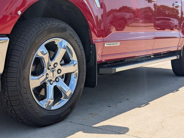 used 2023 Ford F-150 car, priced at $52,900