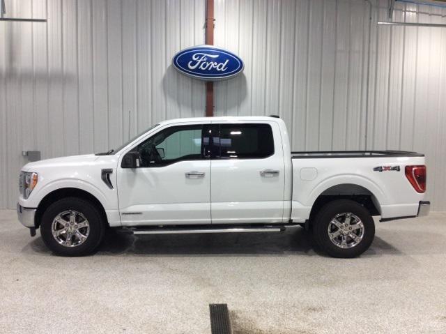 used 2023 Ford F-150 car, priced at $44,900