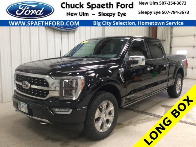 used 2023 Ford F-150 car, priced at $61,500