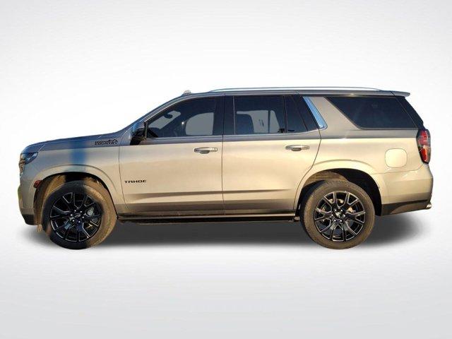 used 2023 Chevrolet Tahoe car