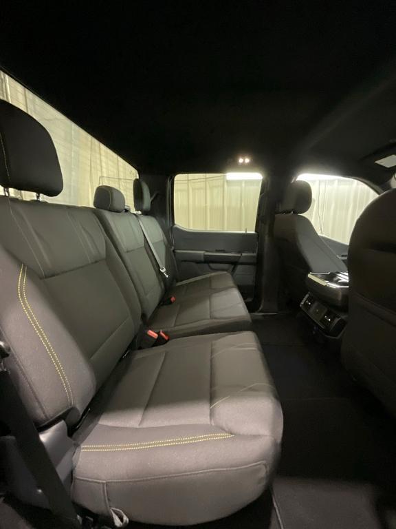 new 2025 Ford F-150 car, priced at $47,175