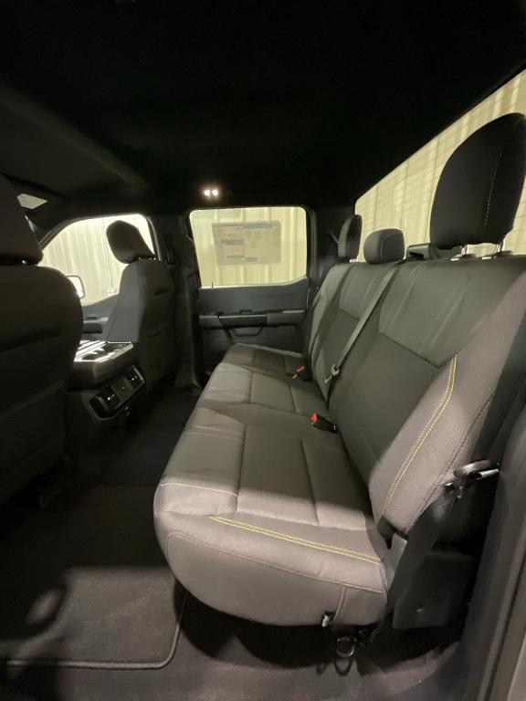 new 2025 Ford F-150 car, priced at $47,175