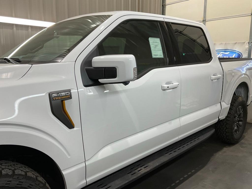 new 2025 Ford F-150 car