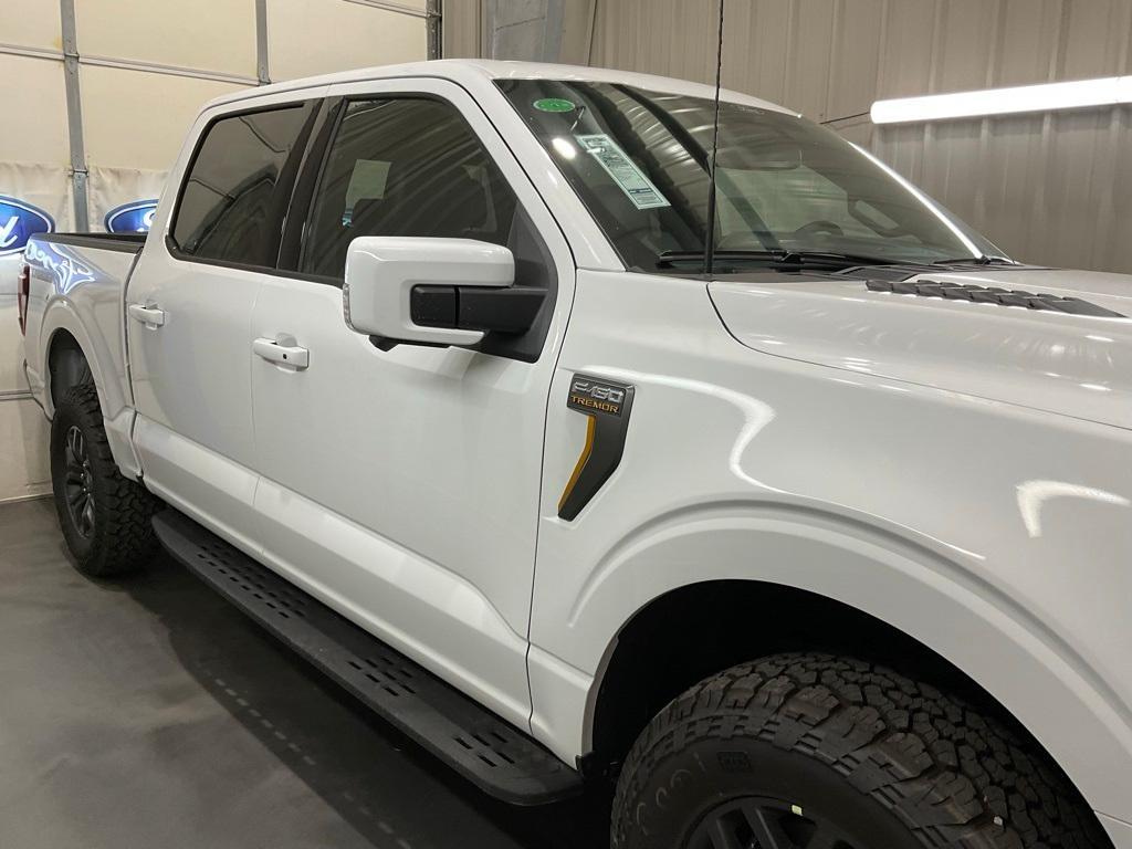 new 2025 Ford F-150 car