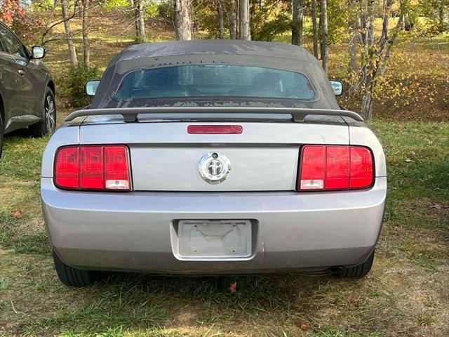 used 2006 Ford Mustang car, priced at $8,300