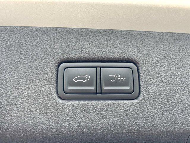 new 2025 Kia Carnival Hybrid car, priced at $56,175