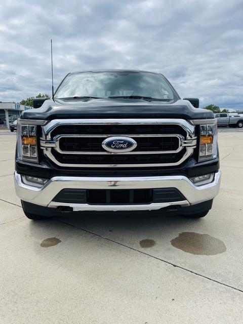 new 2023 Ford F-150 car, priced at $63,630