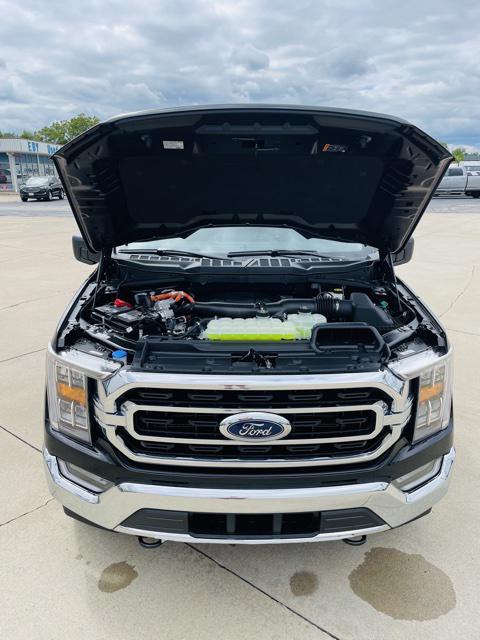 new 2023 Ford F-150 car, priced at $63,630
