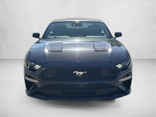 used 2023 Ford Mustang car, priced at $23,579
