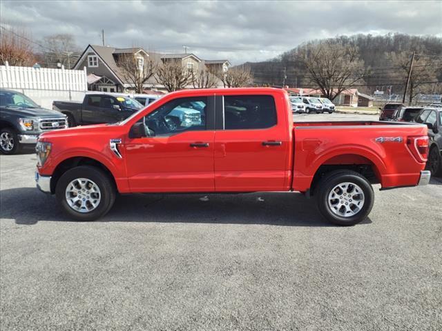 used 2023 Ford F-150 car