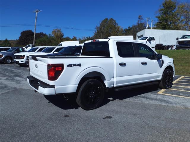 new 2024 Ford F-150 car