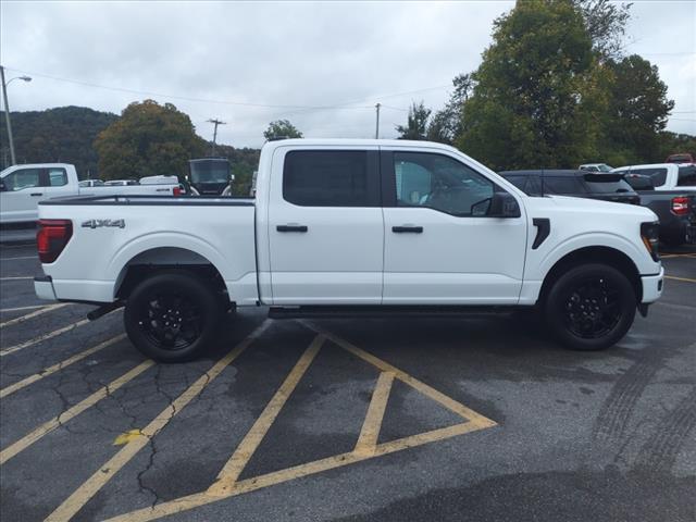 new 2024 Ford F-150 car