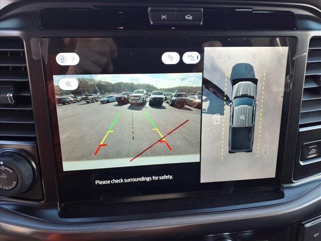 new 2025 Ford F-150 car