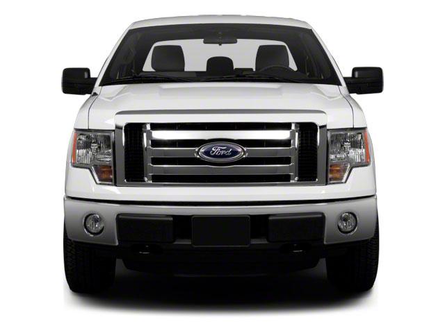 used 2010 Ford F-150 car