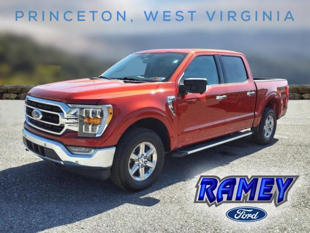 used 2023 Ford F-150 car, priced at $42,990