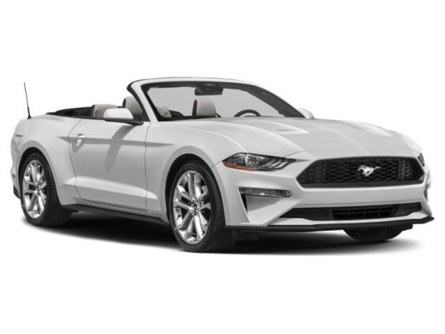 used 2022 Ford Mustang car, priced at $19,480