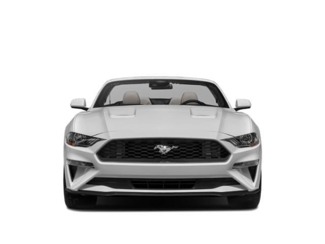 used 2022 Ford Mustang car, priced at $19,480