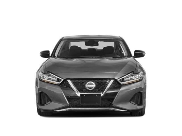 used 2023 Nissan Maxima car