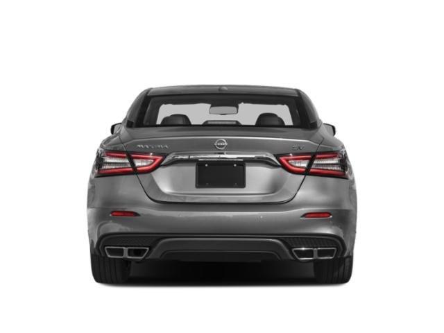 used 2023 Nissan Maxima car