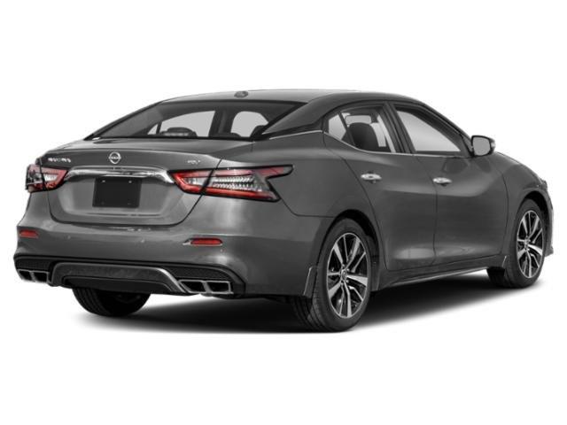 used 2023 Nissan Maxima car
