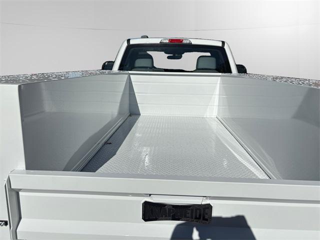 new 2025 Ford F-250 car, priced at $46,800