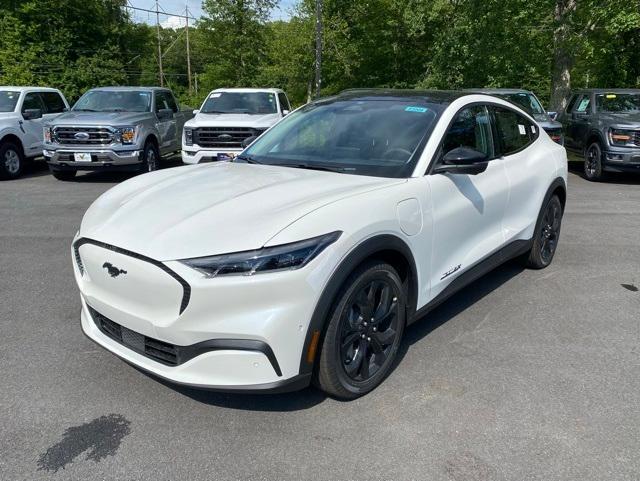 new 2024 Ford Mustang Mach-E car, priced at $52,875