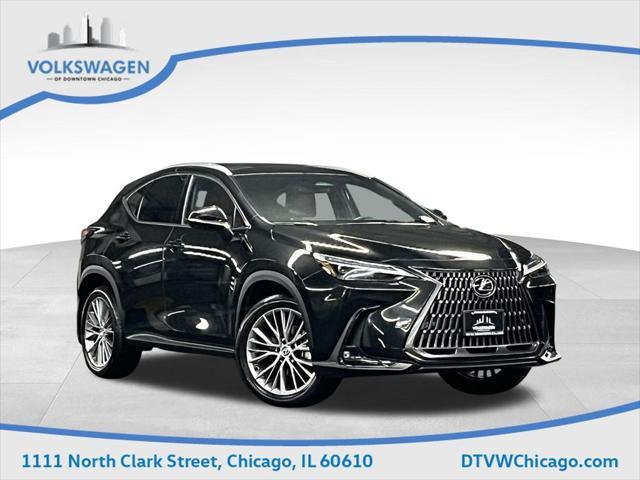 used 2024 Lexus NX 350 car, priced at $48,000