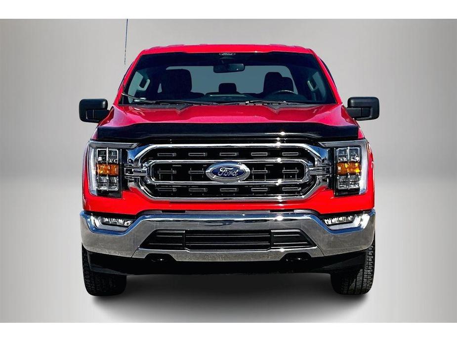 used 2022 Ford F-150 car