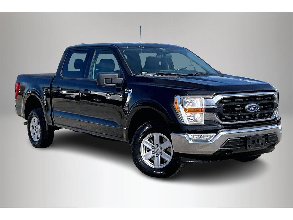 used 2022 Ford F-150 car