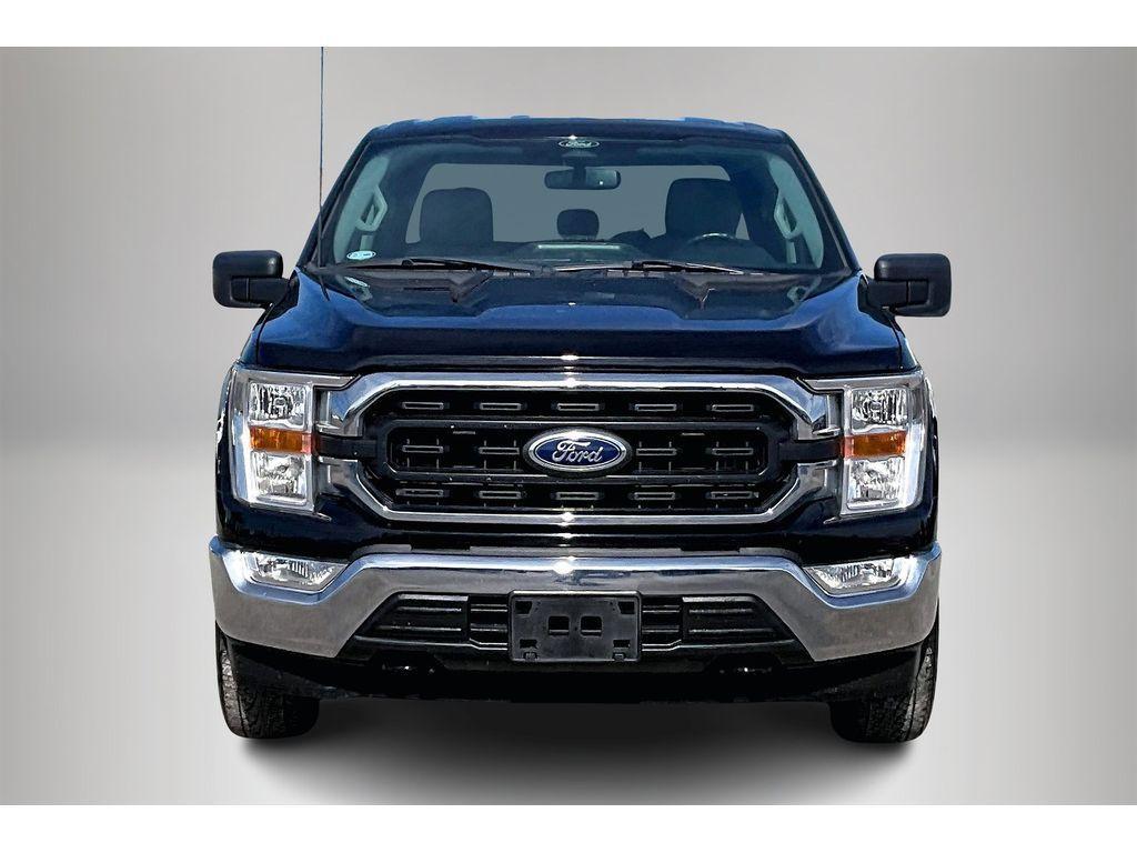 used 2022 Ford F-150 car