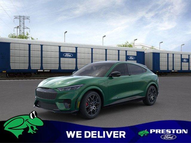 new 2024 Ford Mustang Mach-E car