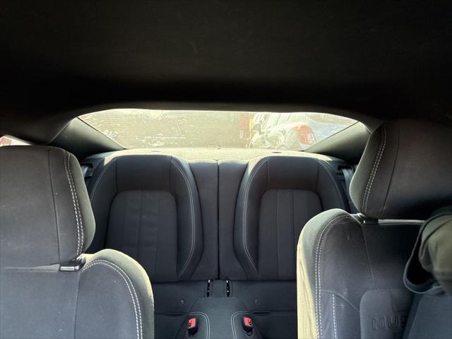 used 2019 Ford Mustang car