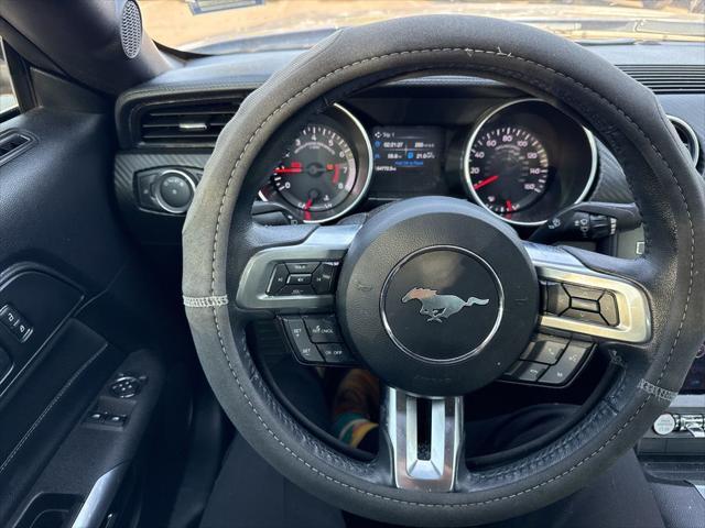 used 2019 Ford Mustang car