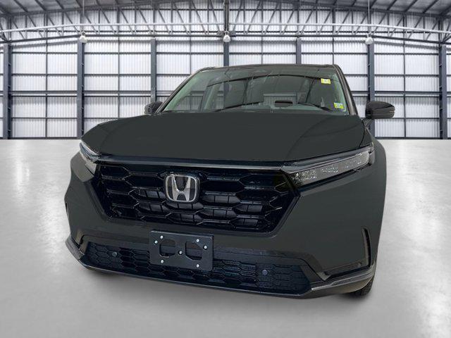 new 2025 Honda CR-V car, priced at $36,344