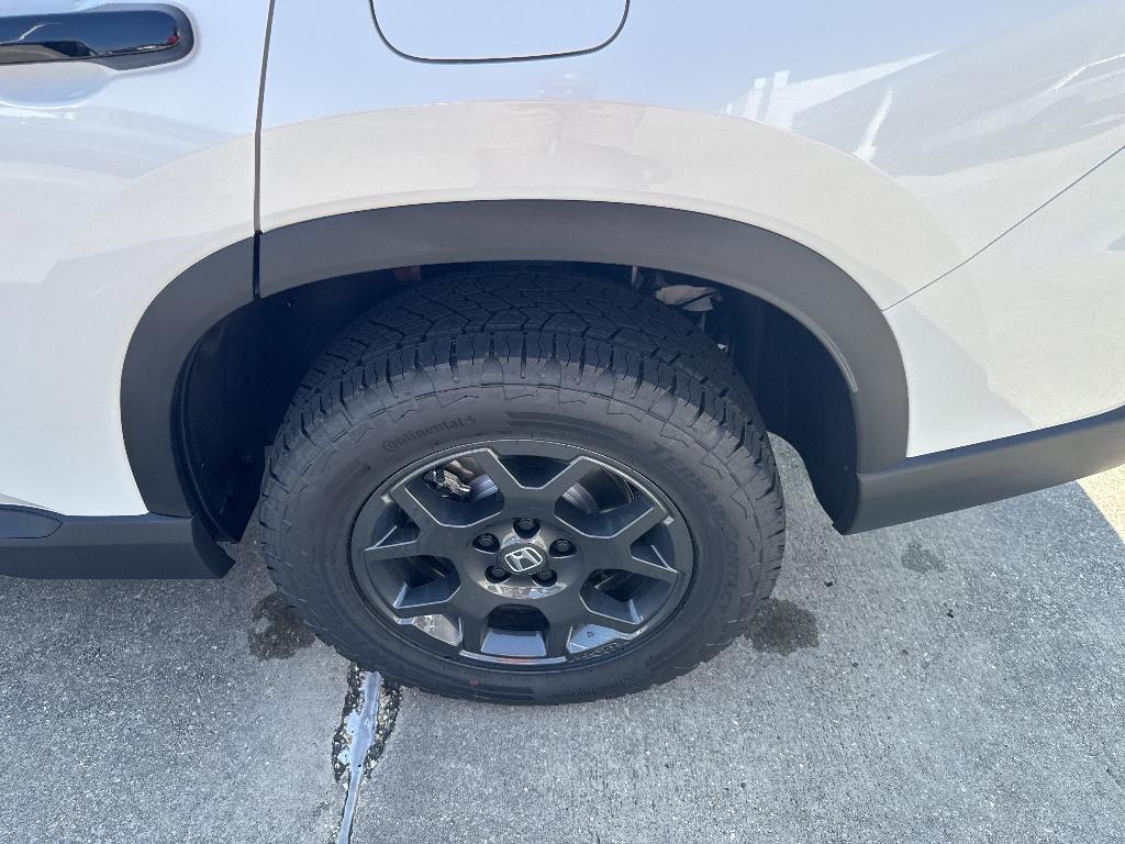 new 2025 Honda Pilot car, priced at $48,259