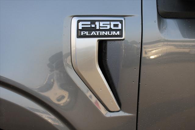 used 2024 Ford F-150 car