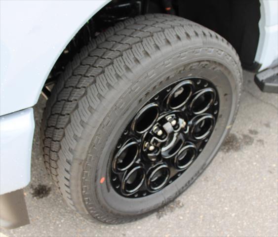 new 2025 Ford F-250 car, priced at $85,095